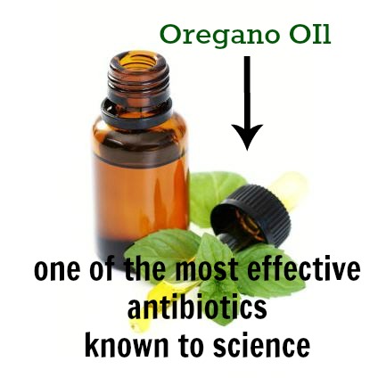 http://www.lahealthyliving.com/wp-content/uploads/2013/09/oregano-oil.jpg