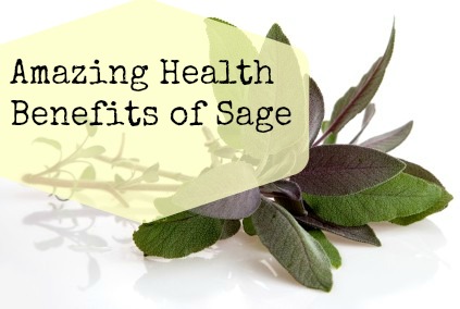 health-benefits-of-Sage