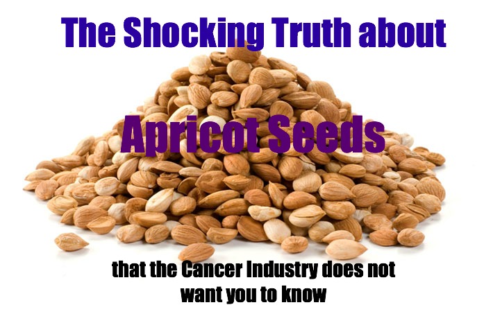 The Shocking Truth about Apricot Seeds and Vitamin B17