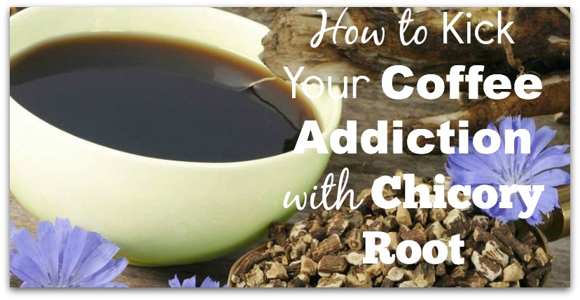 How to Kick Your Coffee Addiction with Chicory Root