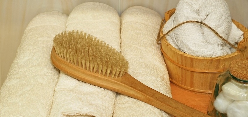 Dry Skin Body Brushing: A Natural Way to Detox  