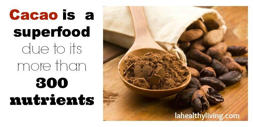 Cacao Slows Down Aging and Keeps You Healthy