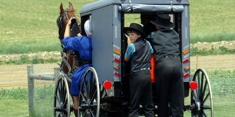 Why the Amish Rarely Get Sick: Things You Can Learn From Them