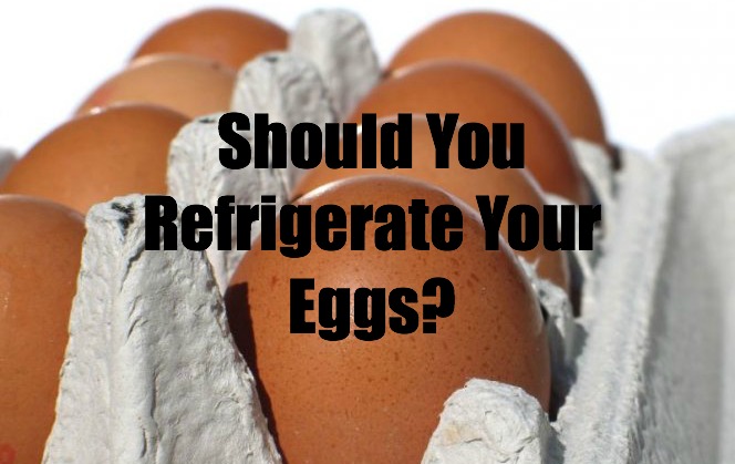 refrigerate-eggs