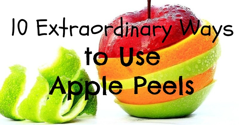 10 Extraordinary Ways to Use Apple Peels