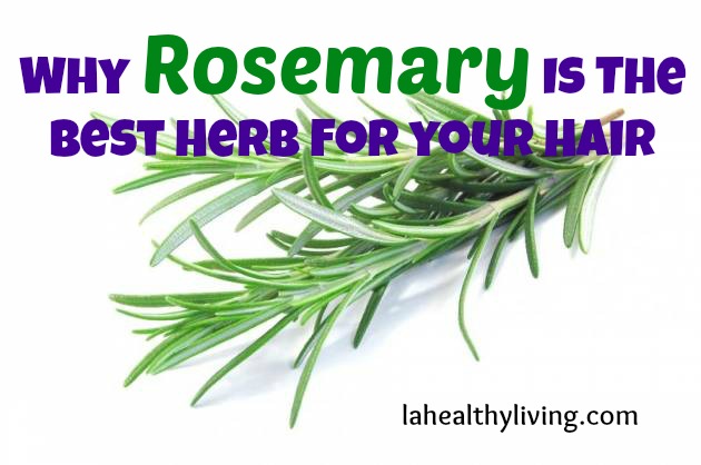 Why Rosemary Is The Best Herb For your Hair